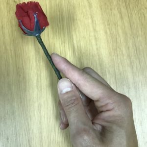 指先から薔薇